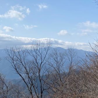 残念ながら富士山は望めませんでした