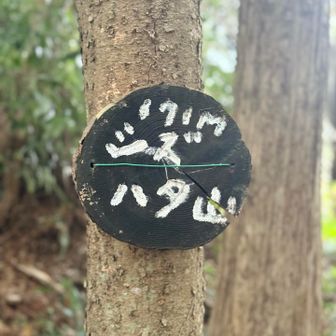 賤機山ー！あとはラスト1ピークのみ！！