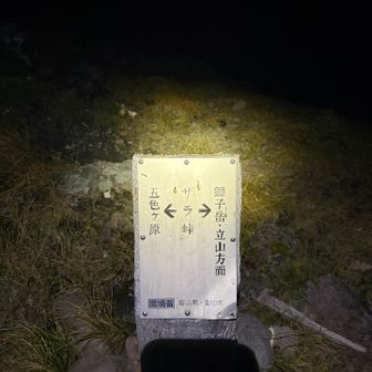 登り返しが始まる🤪
