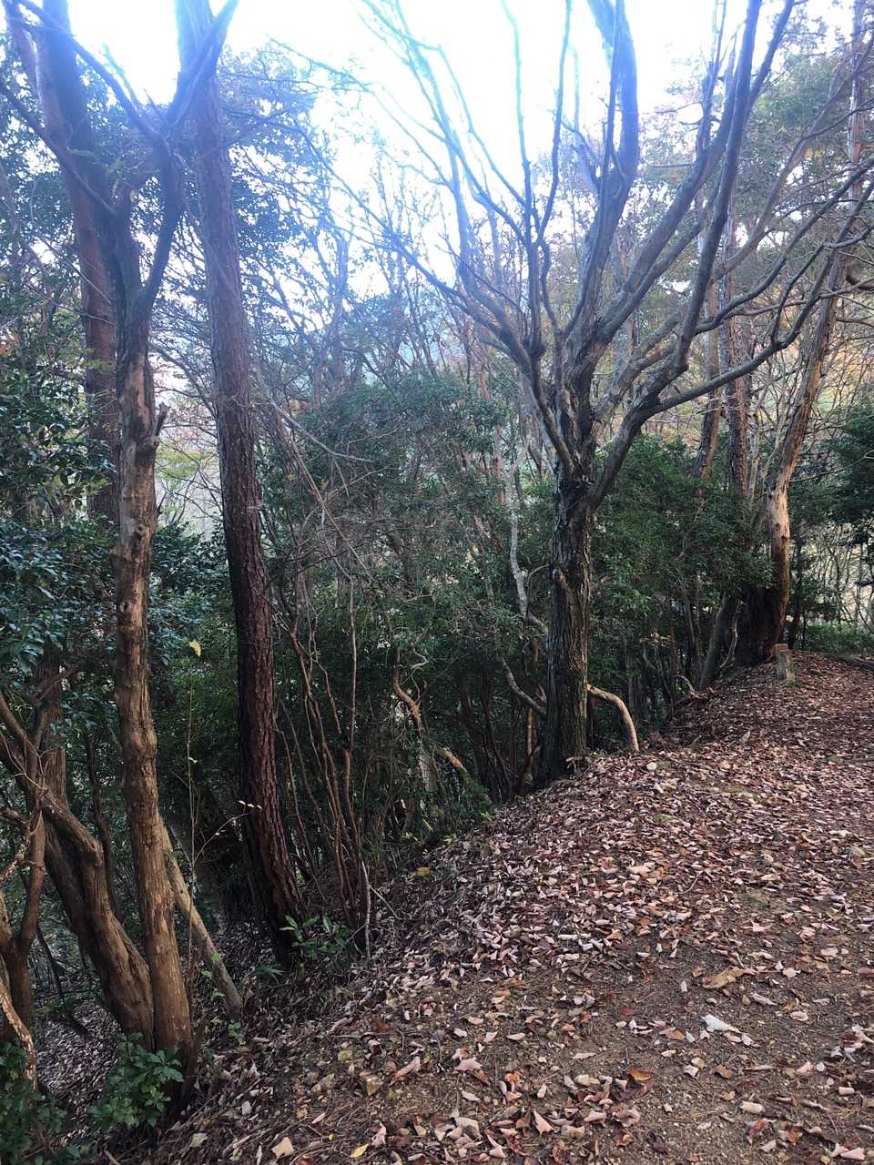 大別当山⛰到着‼️これ頂上🤔