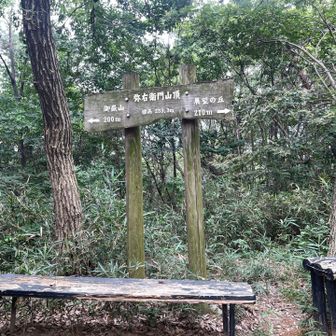 ３つ目。この後2回ここを通った。
