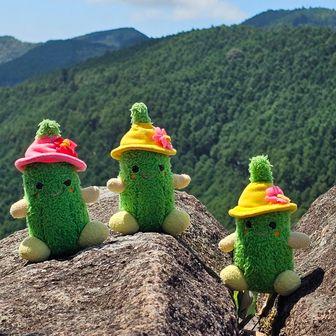 いつもの記念撮影