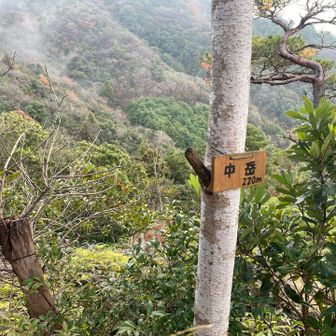 一緒に働いていたころはまだハタチソコソコのKさんでしたが、今や二人の子供の親になり