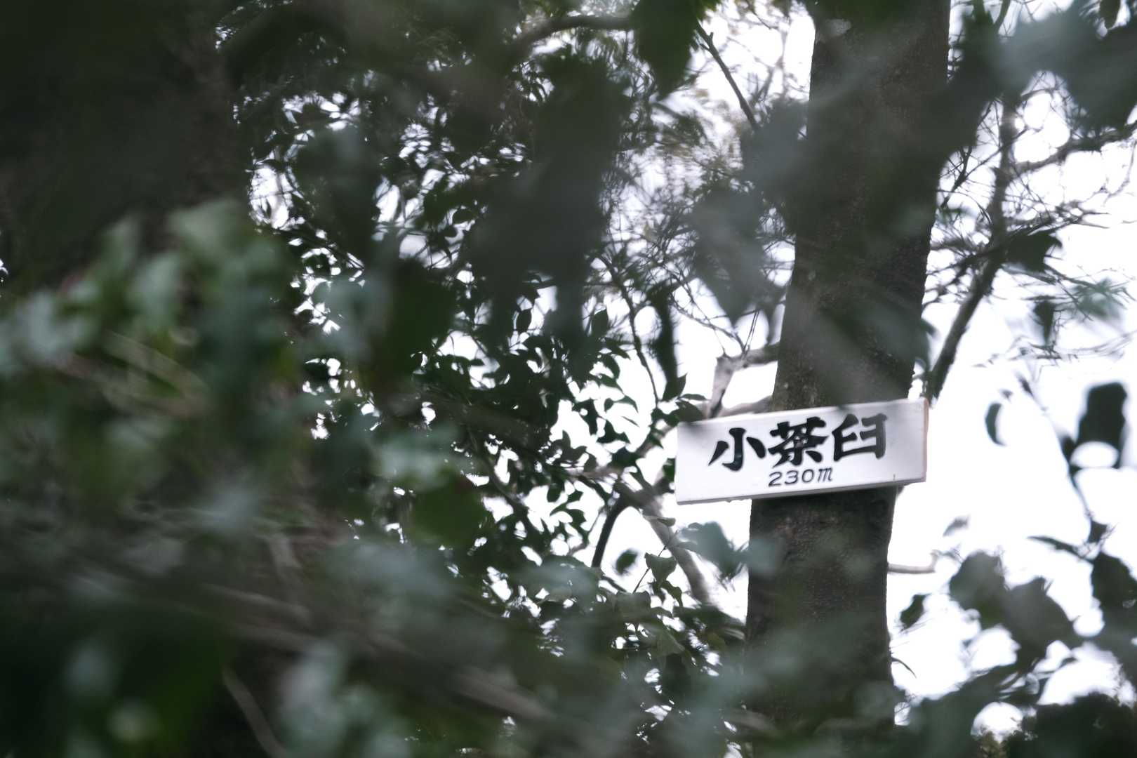 小茶臼 往復コースの写真
