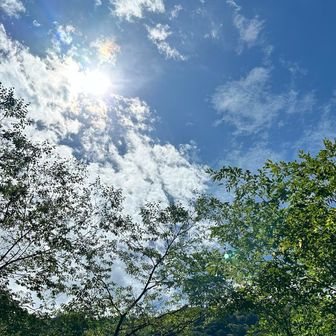 夏の空