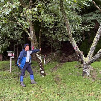日向登山口（尾平越トンネル登山口）
8:30頃駐車場着、すでに10台の先客あり！