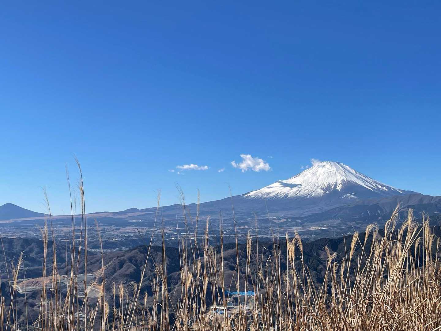 谷峨駅-大野山-山北駅 縦走コースの写真