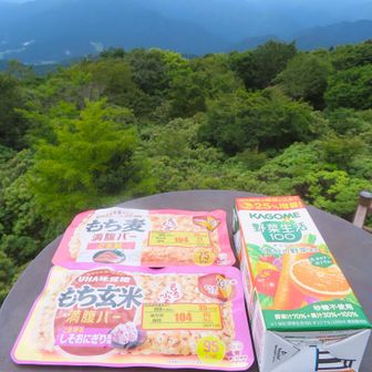 (´～｀)ﾓｸﾞﾓｸﾞタイム
しそおにぎり味は スッキリ食べやすい😋