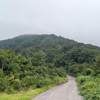 夕霧峠からの奥医王山🙌