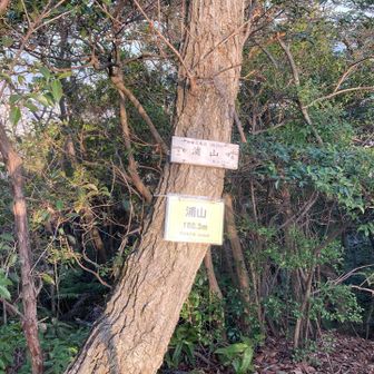 浦山山頂
浦山展望台は、山頂から少し叶岳方向に行ったところに作りました