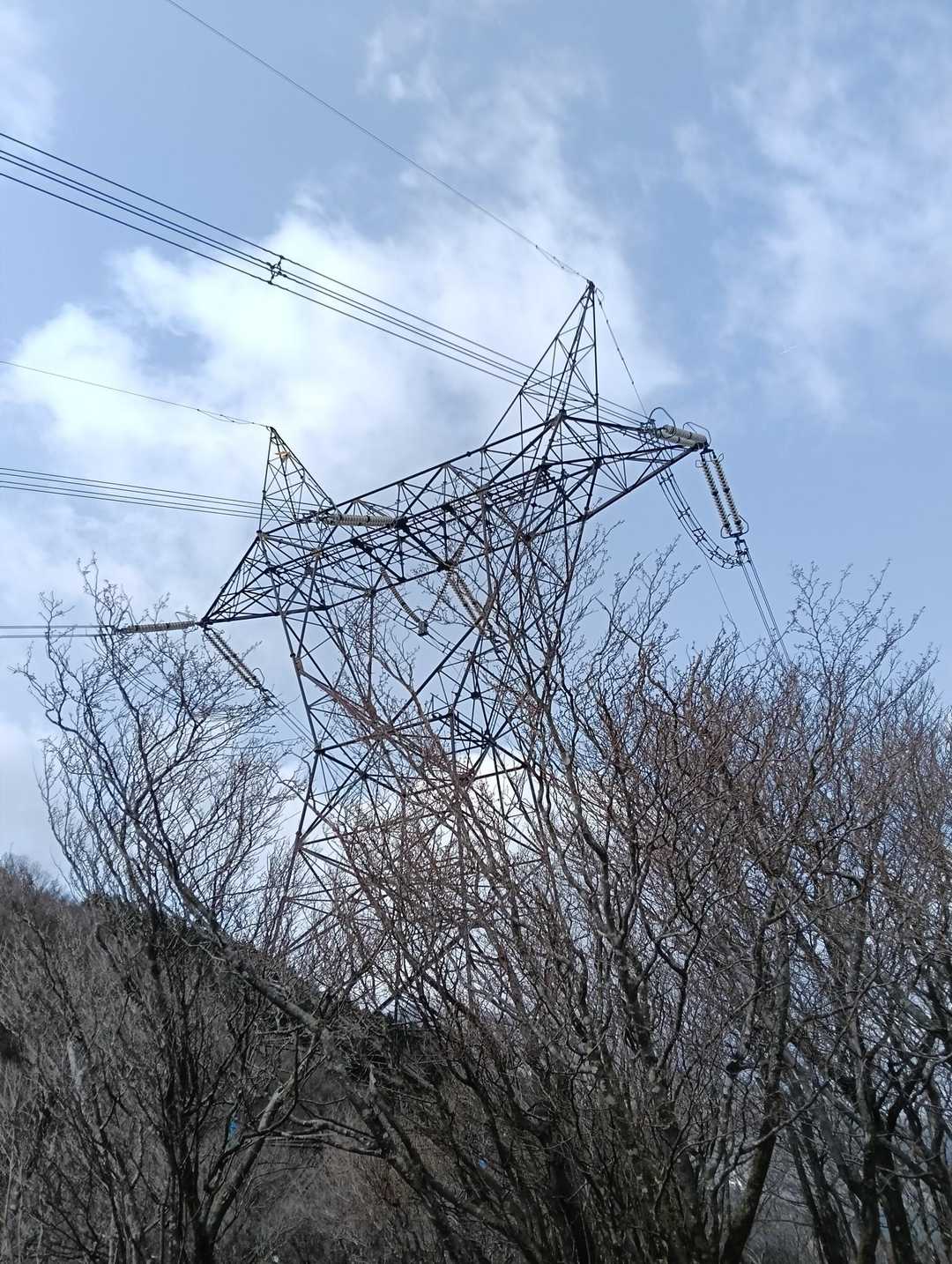 ネコ耳