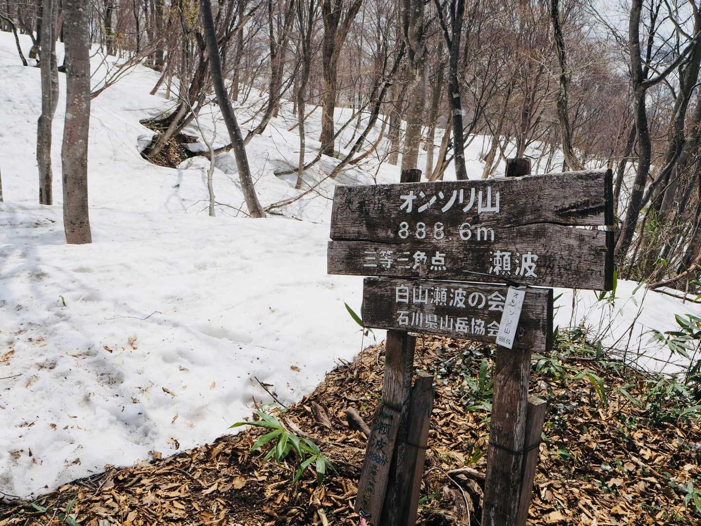 登れた！