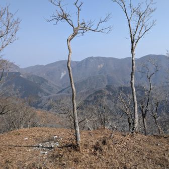 山頂からの眺望もなかなかのもの。ここで今日初めて座っての休憩。コーヒーをいただきました