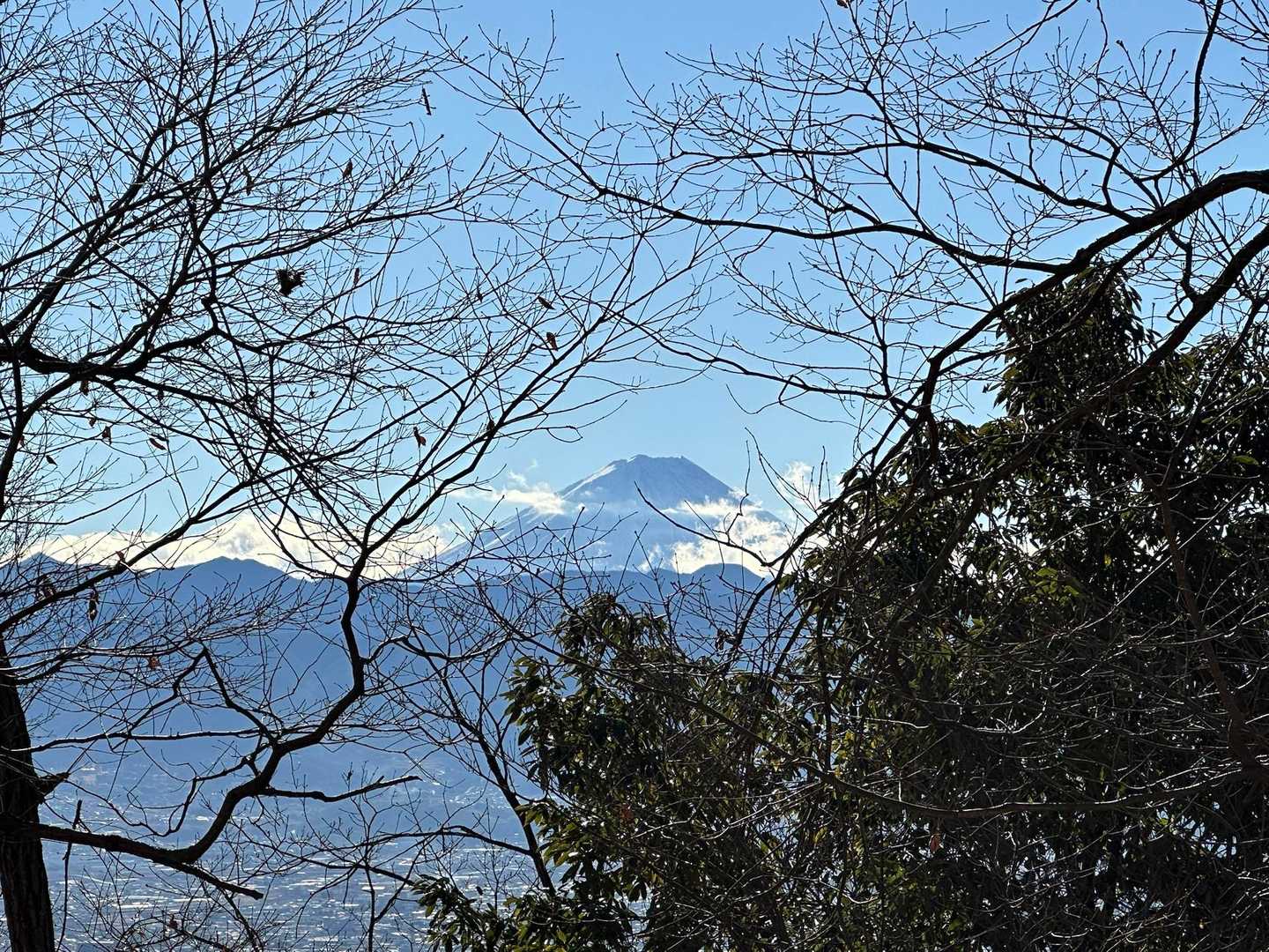 八王子山往復 | 街から歩ける白い巨岩の特等席、甲府盆地と富士山を見下ろす開放感の写真