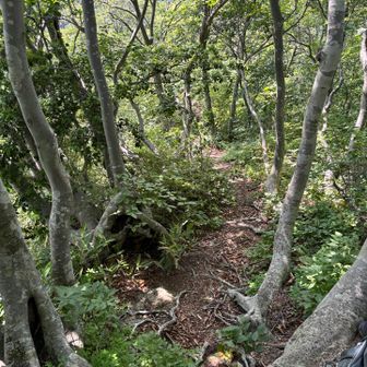 しっかり登って激下り。
これが剣龍峡のようです🐉