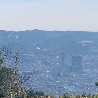 大好きな草薙の街、ありがとう😊
一度でいいから駅前のタワーマンションに住んでみたいなーッ🏙️