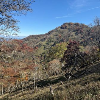 山頂部が見えています