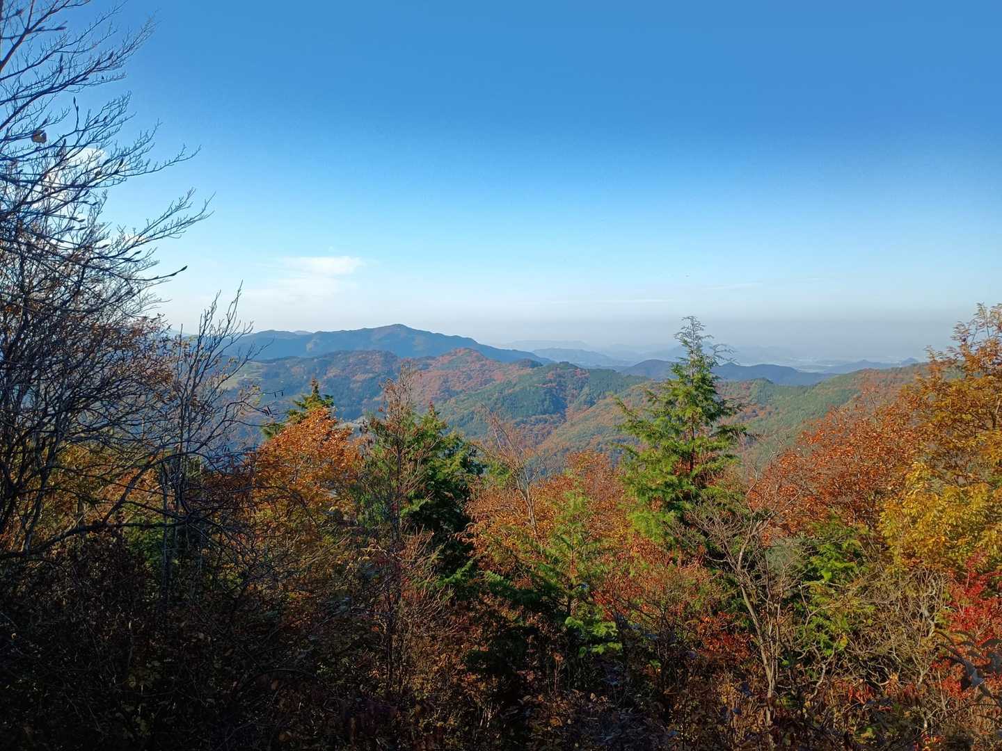 竜王山-竜王山 往復コースの写真