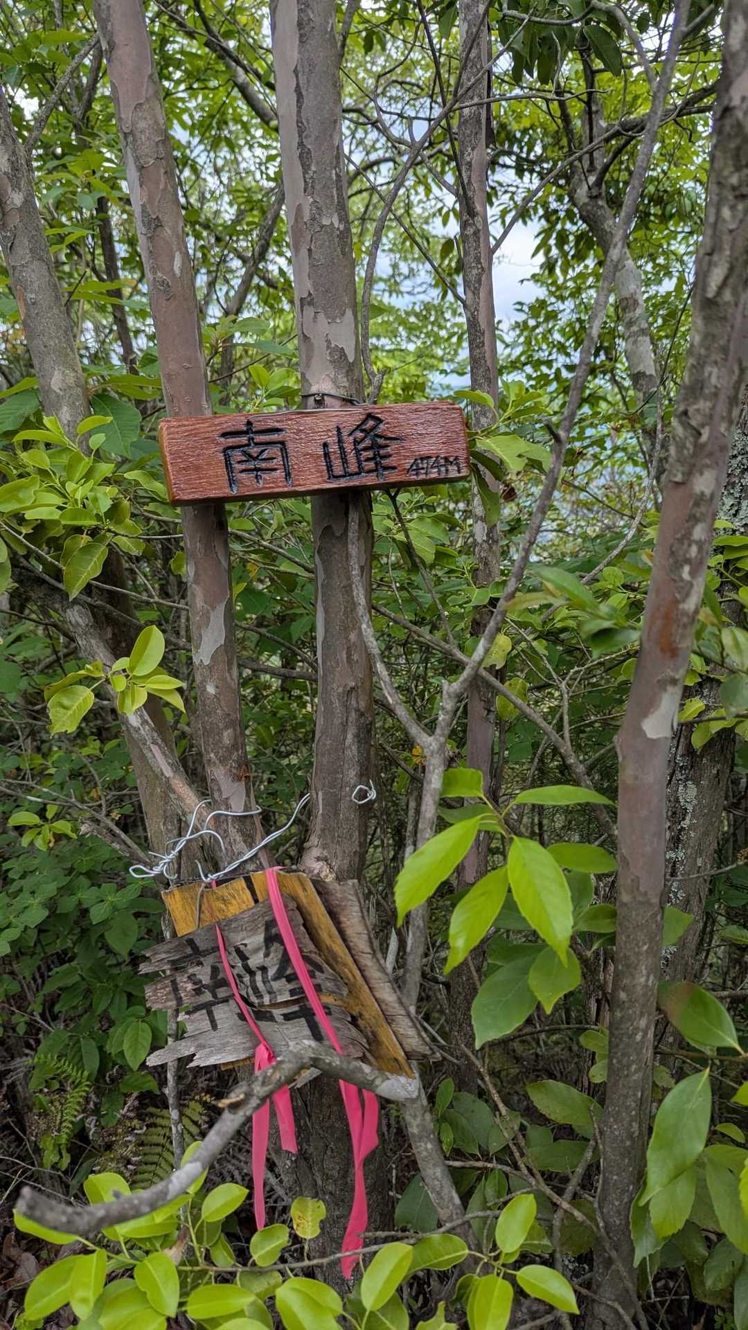 南登山口-鎌倉寺山 南峰-鎌倉寺山-牛岩登山口 周回コースの写真