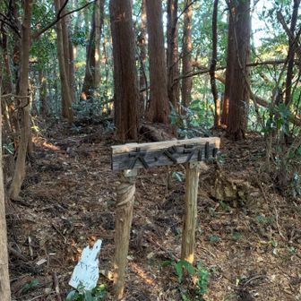 満観峰へ向かう途中のピーク