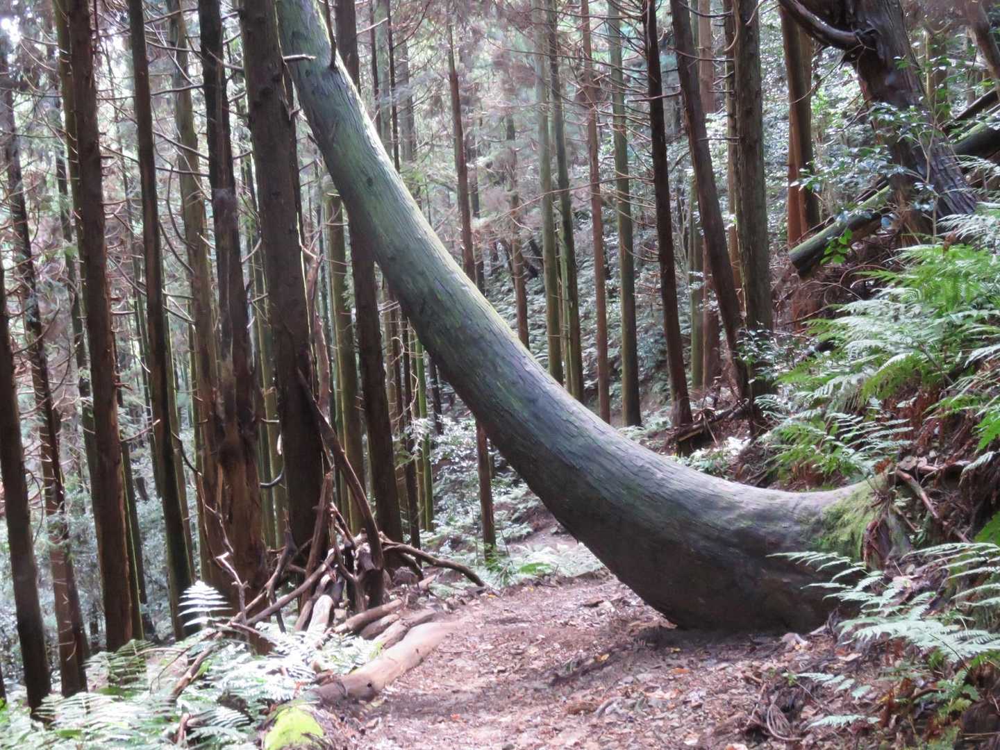 ちょっと何？
