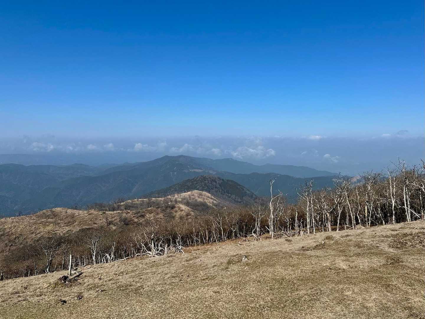 山頂は、青空が広がっています！！