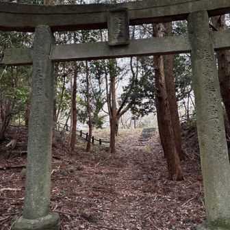 すぐに頂上に着いた🙌
琴平山だから琴平神社かと思いきや大正神社だった😅