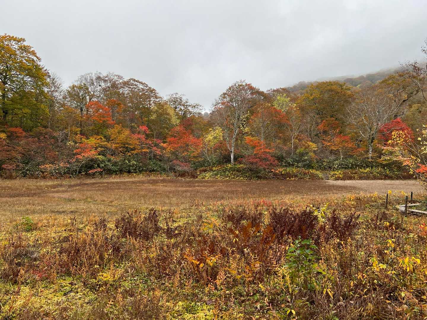 天生峠-籾糠山 往復コースの写真