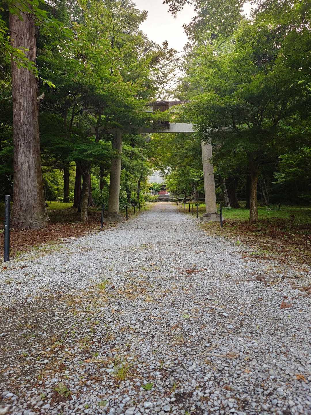 佐和山城跡 ハイキング コース入口-大洞弁財天-弁天山-佐 周回コースの写真