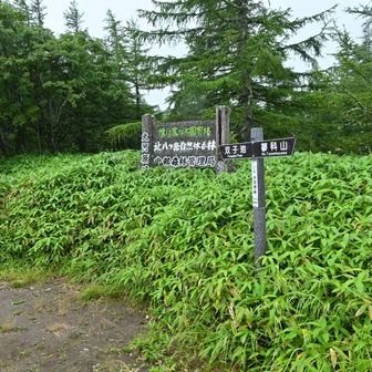 大河原峠到着です。

双子池ヒュッテを発ってまもなくテント泊装備の大学生らしきグループとすれ違いましたが、彼らはテントの設営は間に合ったでしょうか。