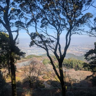 黄砂でガスってる
