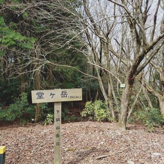 さんちょ
1組と、ソロの方1人居られました
