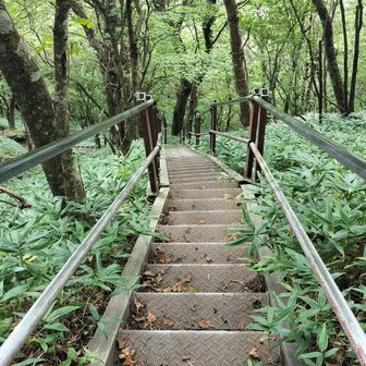 鉄製の階段の下り　かなり急
１００段以上続くのが２回