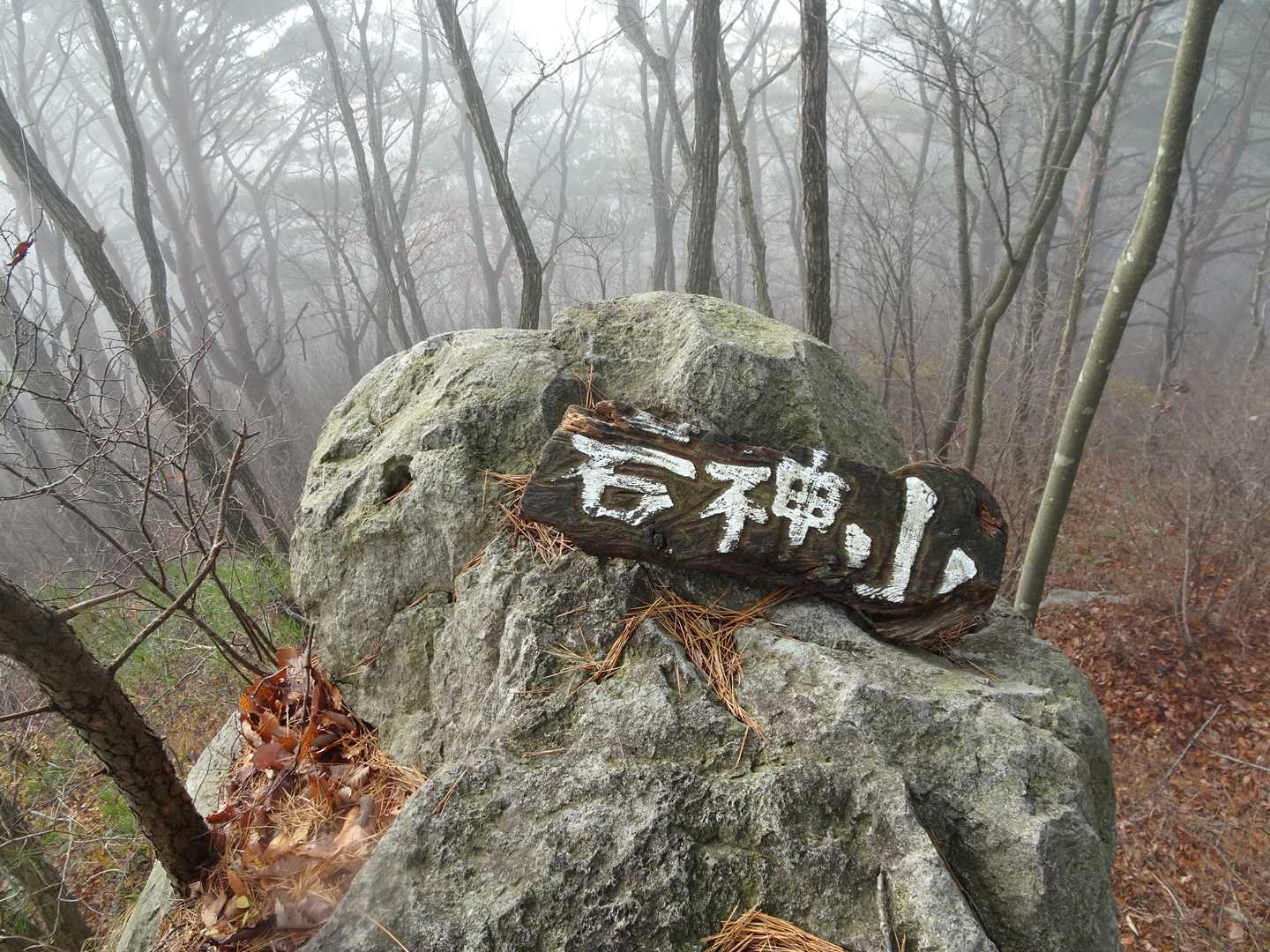 岩の上に山名板がありました。