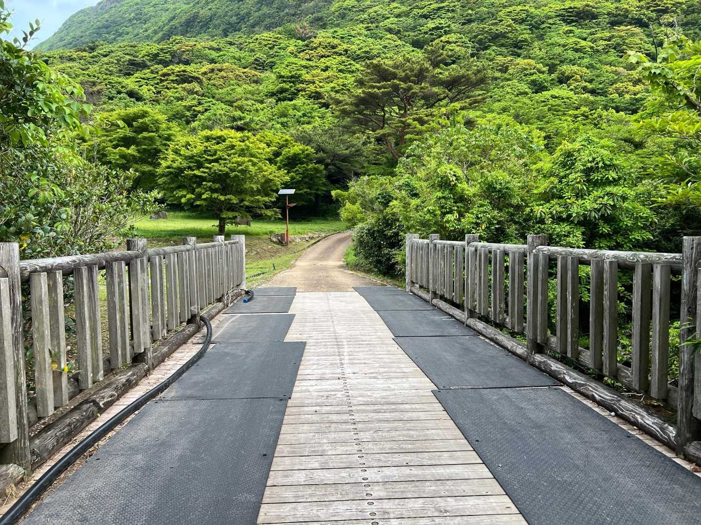 では行ってきまーす