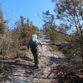 次のピーク目指して登るぞーw