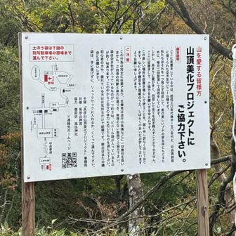 2袋おろした
合わせて体感4キロとかかな？
担ぐのとかもってないので、普通に手で掴んで運ぶ