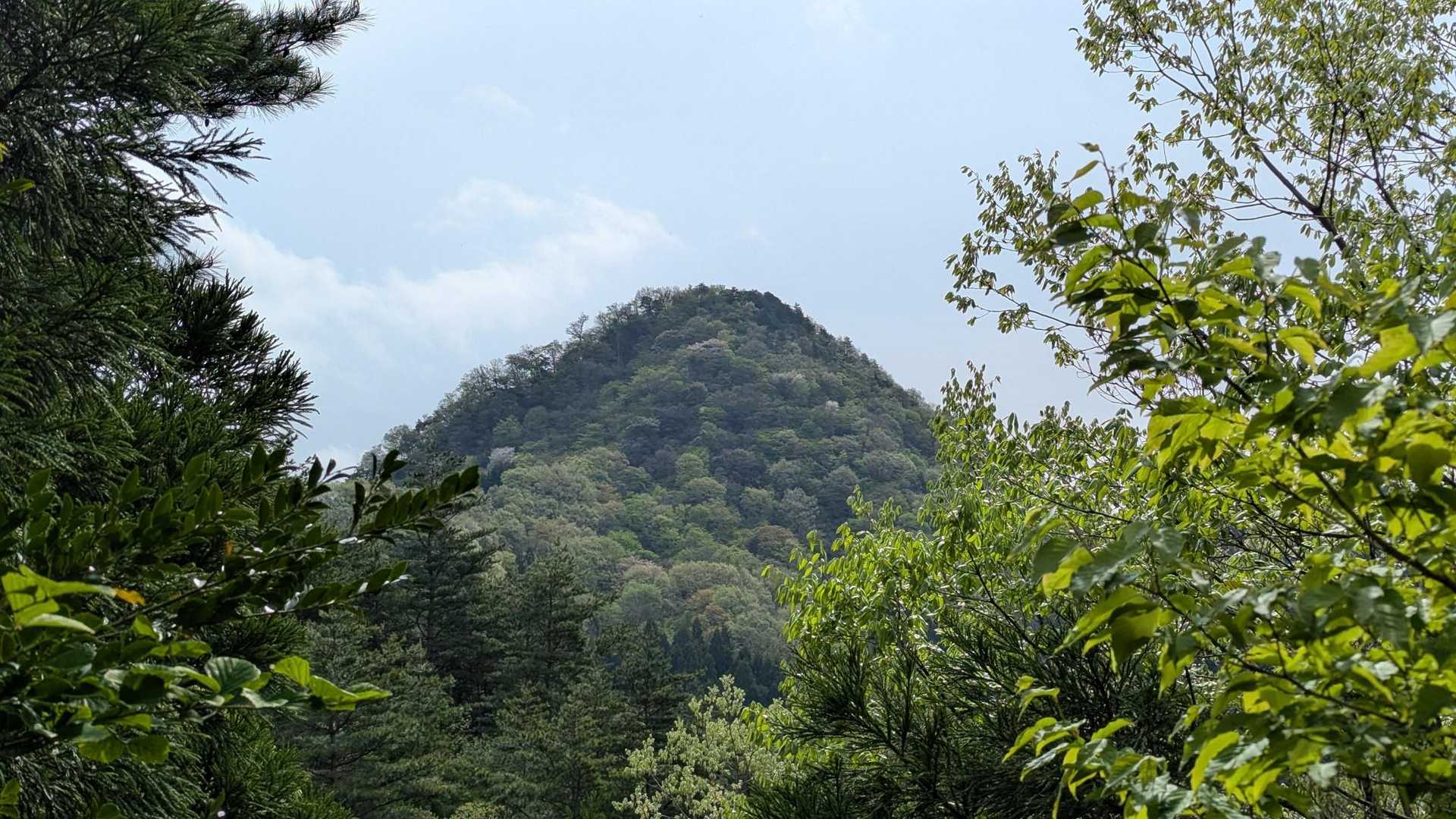 夏椿峠ルートからの尖山