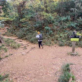 ここは真っ直ぐ進む▶️