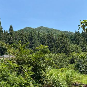 
下山後 暫くしてから 振り返る と
相戸岳 の 全容 が 現れました
❗️なんと 双耳峰 ᨒ のように 
見えました 😆
山頂 🔺 は 右側（手前側）の ようです

本日 は ありがとうございました ᨒ
