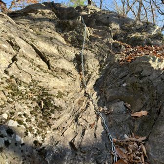 巻けないけど
4爪駆動🐕らは速かった