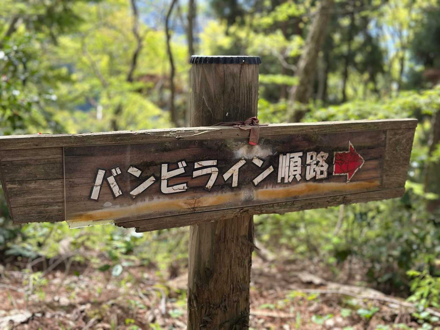 道は明るくて迷うところもなくて安心。
でも熊が居るお山のようです🐻
下山してから地元の方に聞きました😱
