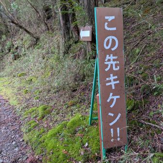 遊歩道がかなり荒れてて危なかった😅