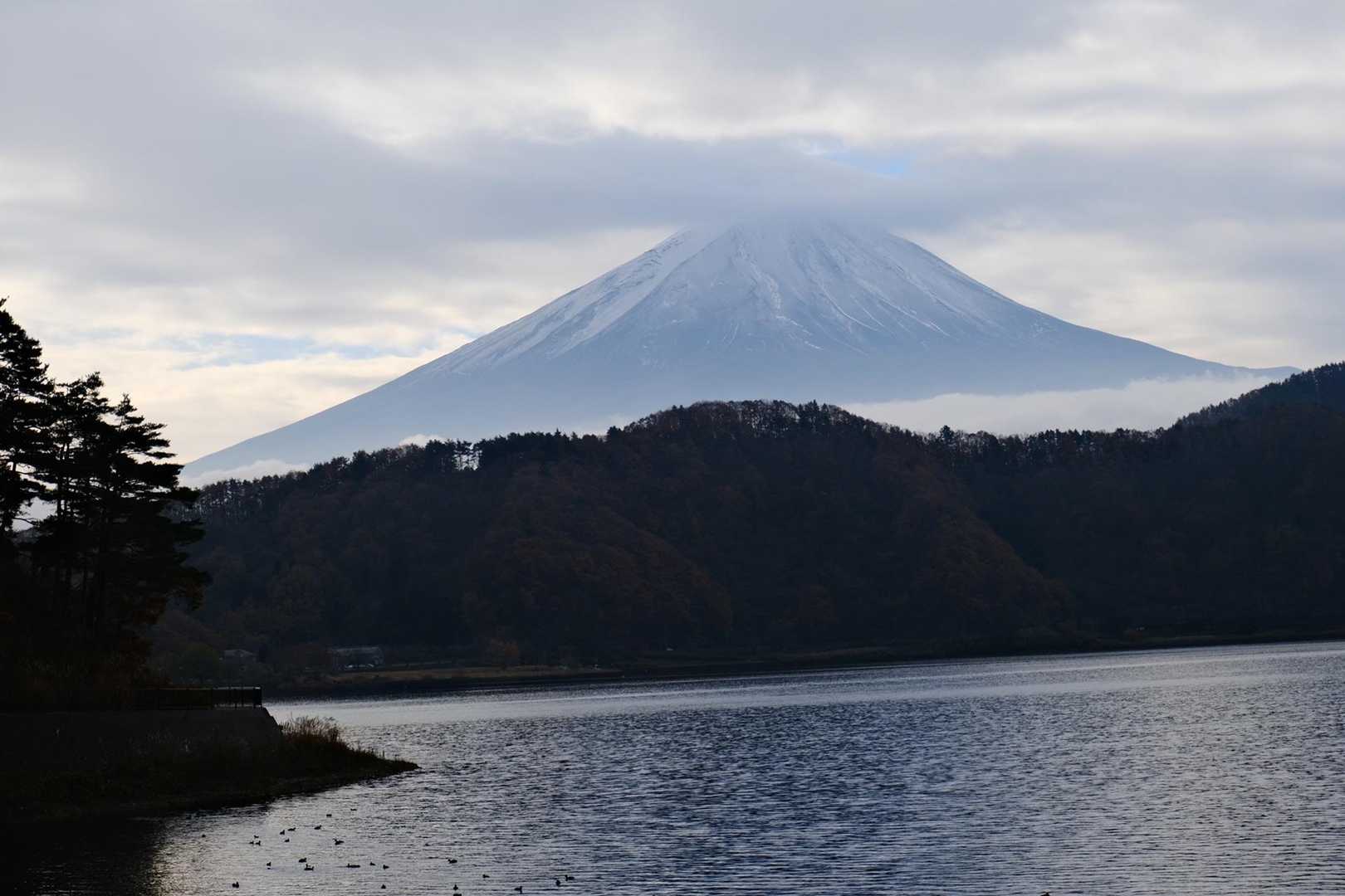 黒岳 往復コースの写真