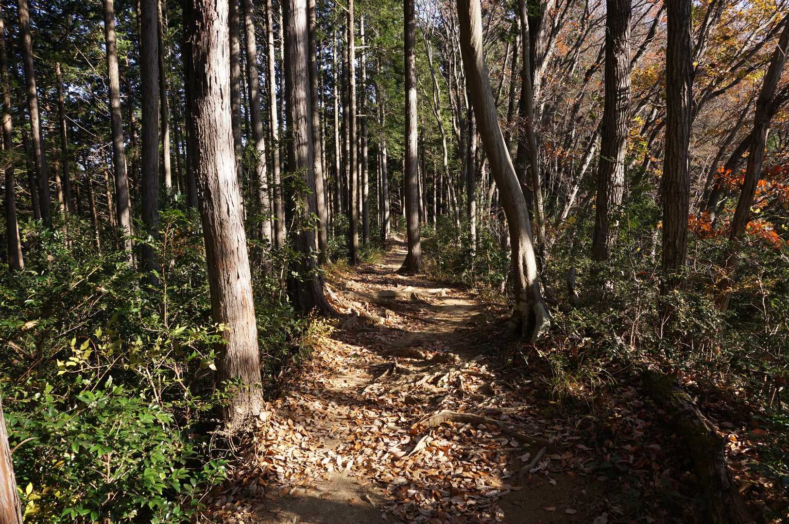 日が差し込んできました。