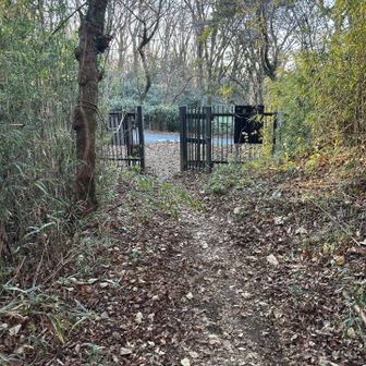 ゲートまで戻って来ました