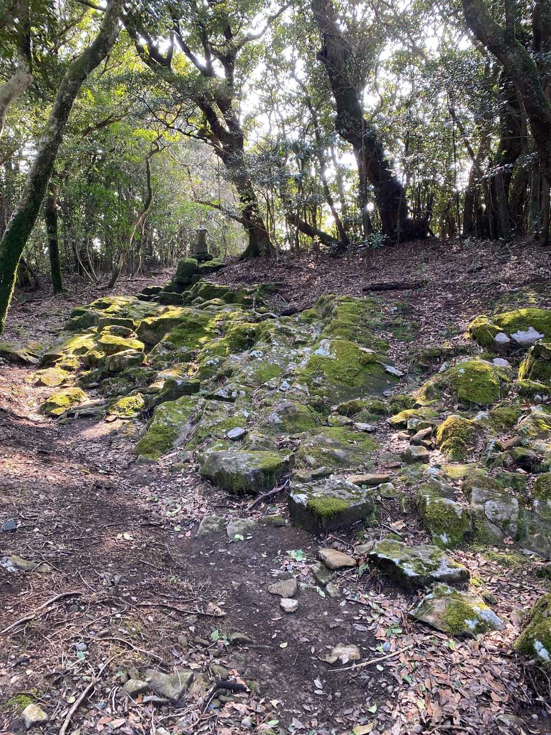 安満岳登山道口-安満岳-三の鳥居 往復コースの写真