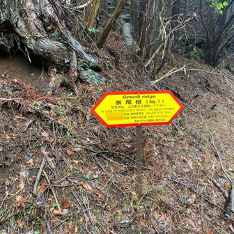 表尾根の文字に心躍ります