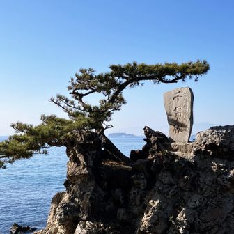 真ん中に写っているのは江の島です。