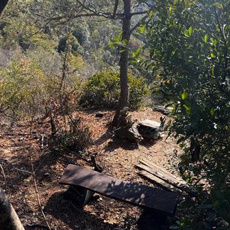                                  あれ？
                 登山道を歩いてたら右下に何か
